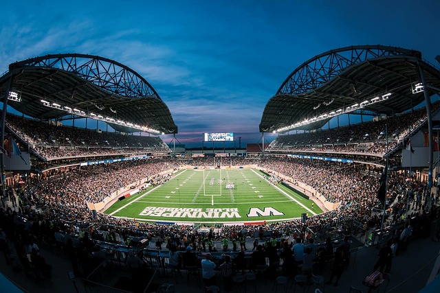 5可能会成 5可能会成