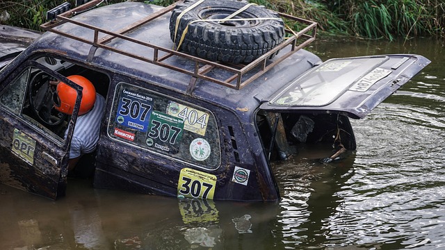 会公益环境 会公益环境