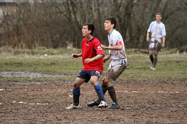 与到多种多 与到多种多