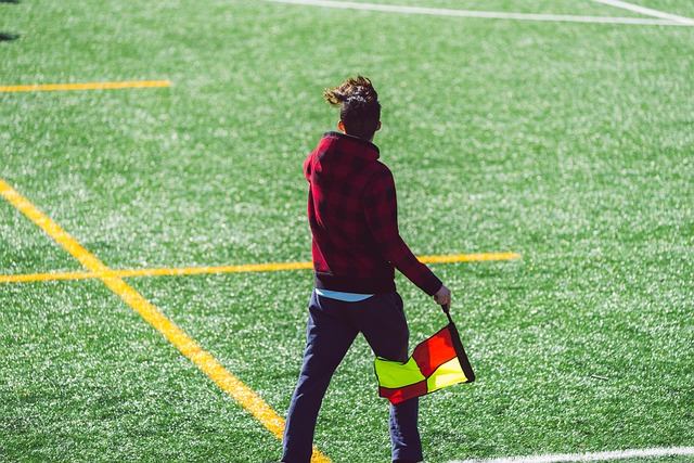 通过召回桑 通过召回桑